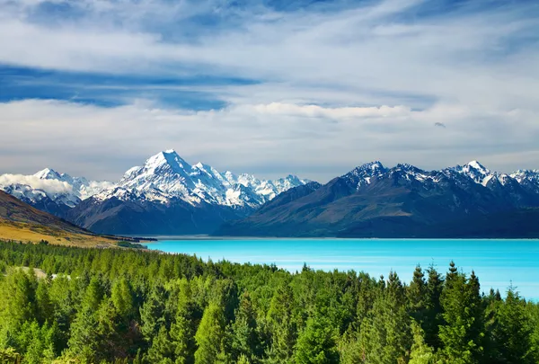 Top 4 Free Stock Photo Sites